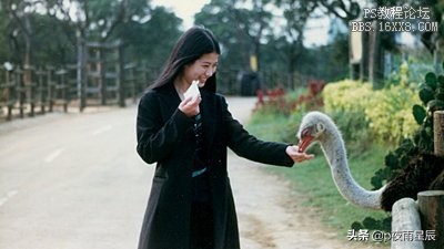 ps图像模式怎么选择,ps图片保存格式选择