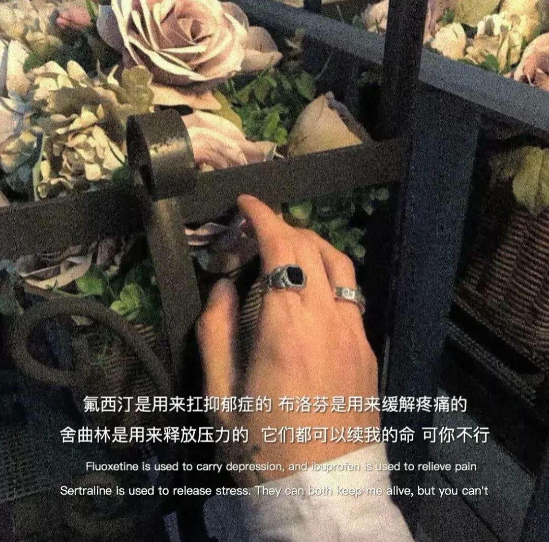 大自然治愈清新的背景图,文艺清新淡雅鲜花背景图