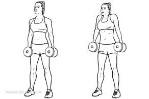 颈部的健身训练,wildfieldhealth牌子如何