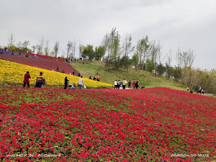 vivonex3s上手体验,追求极致游戏体验手机