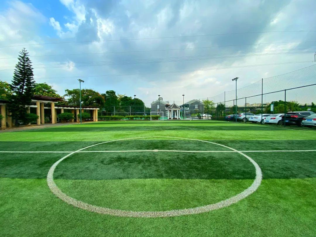 体验度假式甩肉，科学享瘦，7天秒变男神收割机