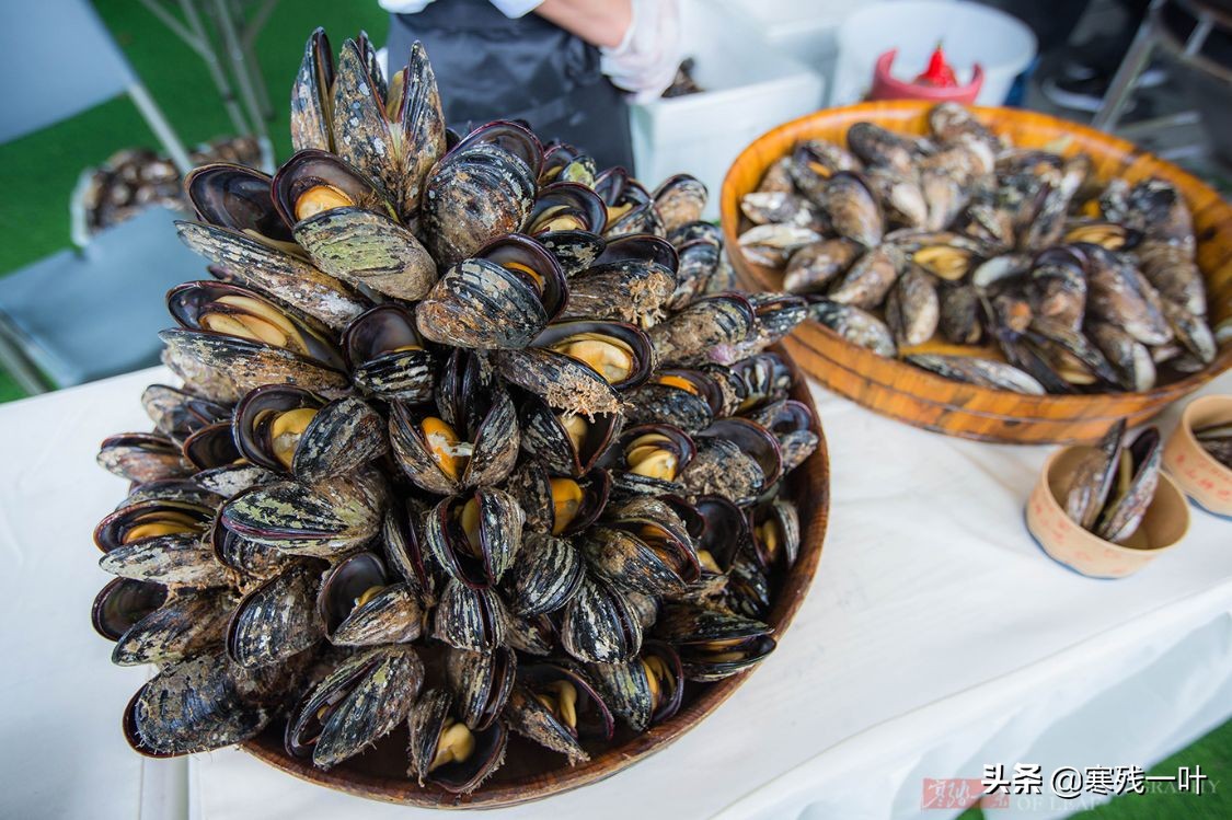浙江象山海鲜很出名,浙江象山最好吃的海鲜