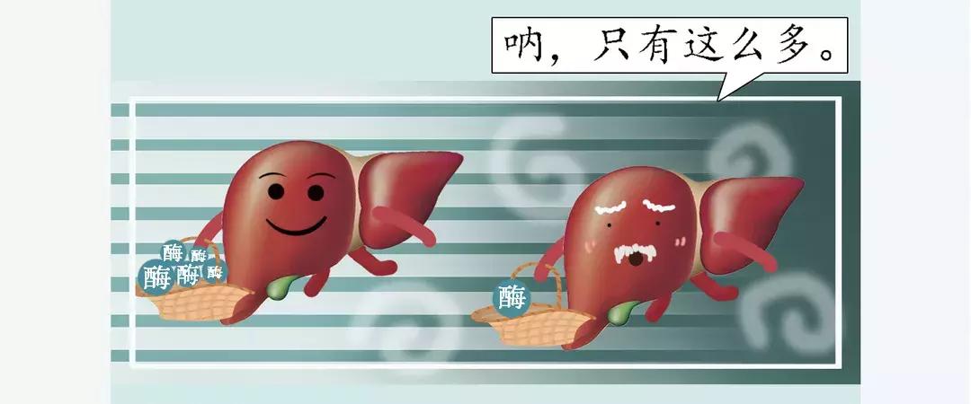 真相酵素是包治百病的神药吗,酵素到底靠不靠谱