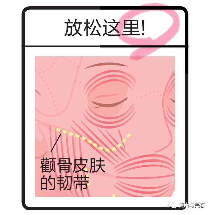 谢娜示范瘦脸操，5秒钟按压操消除法令纹！