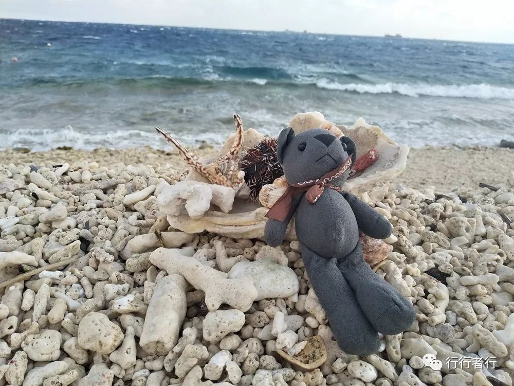 漂洋过海只为遇见你西沙攻略,西沙探秘游记大攻略