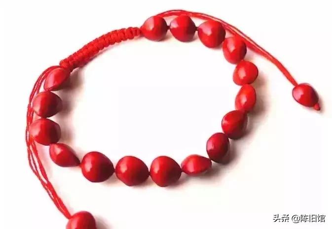 最值得玩的菩提子,真正的菩提子