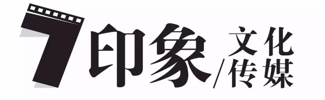长文整顿|45家剧集公司2019年度成绩单