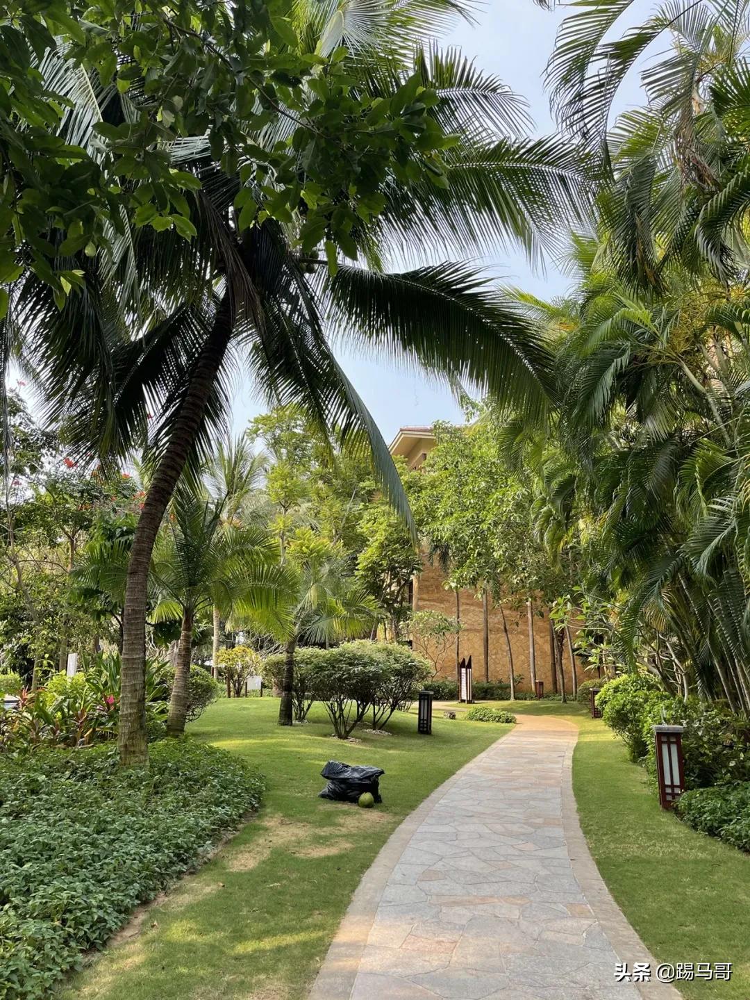 三亚避雷防坑攻略,三亚亲子游攻略亚特兰蒂斯