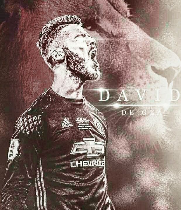 足坛门将完整版,足坛十大门将