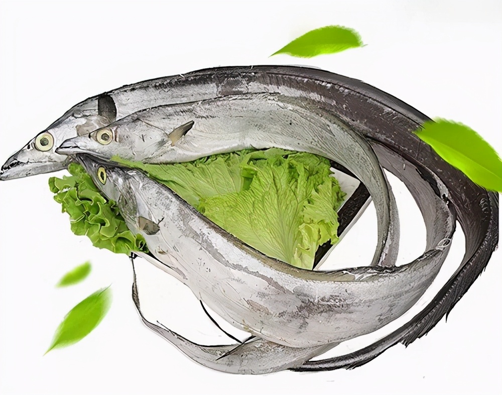 带鱼冰鲜好吃还是冰冻的好吃,冰鲜带鱼和带鱼段的区别