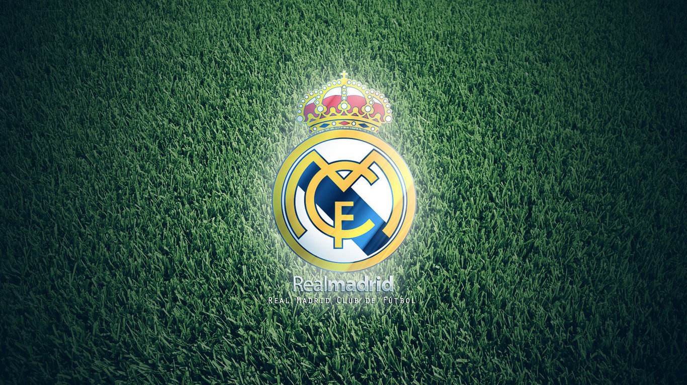 皇萨仁为什么复出无人问津,皇萨仁现状如何