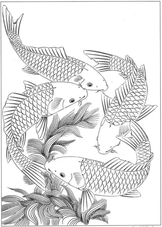 简单易画的工笔画线稿,各种鱼类工笔画图片