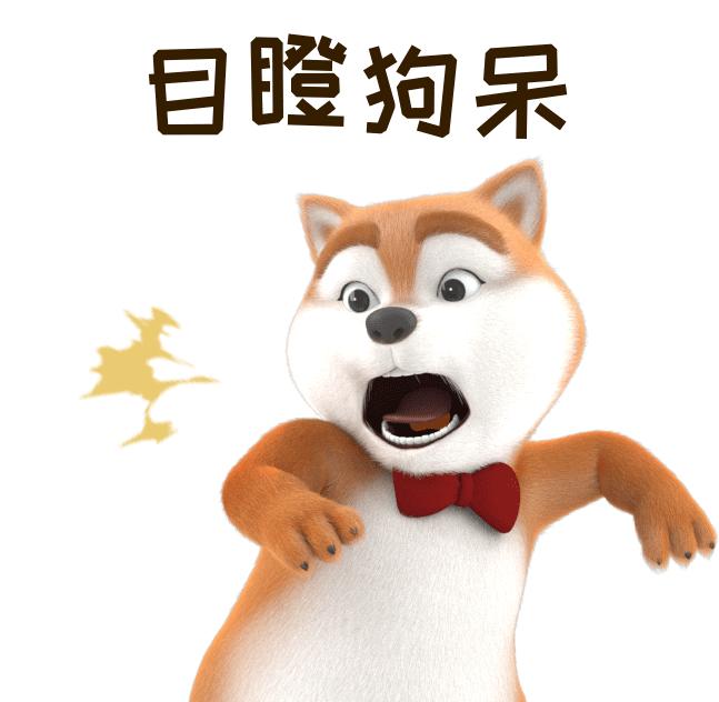 狗狗品种介绍图鉴3期哈士奇,哈士奇和其它狗狗杂交品种