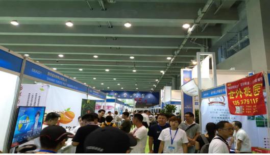 2019世界水果产业博览会开幕,2019世界水果产业展销会