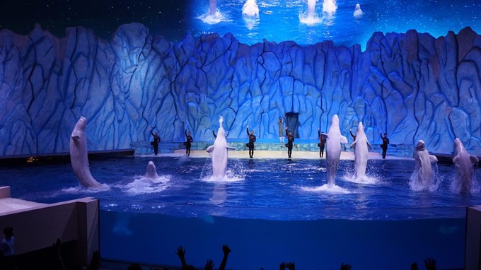 珠海长隆海洋王国全面游玩攻略,珠海长隆海洋王国游玩攻略和价格