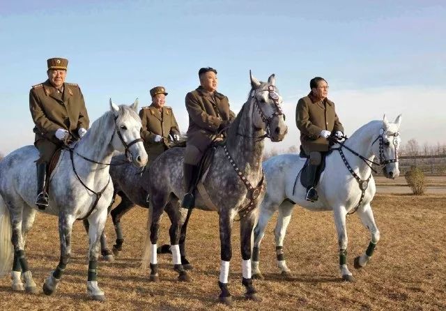 白马踏雪山金正恩座骑大有来头｜除了帅气人类为何钟情白马？