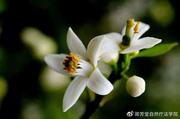教师节送老师什么礼物比较好初中,快到教师节了该给老师做什么礼物
