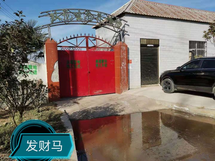 投资70万：已外购保育猪一个月的老陈，今年收益还能靠谱吗？