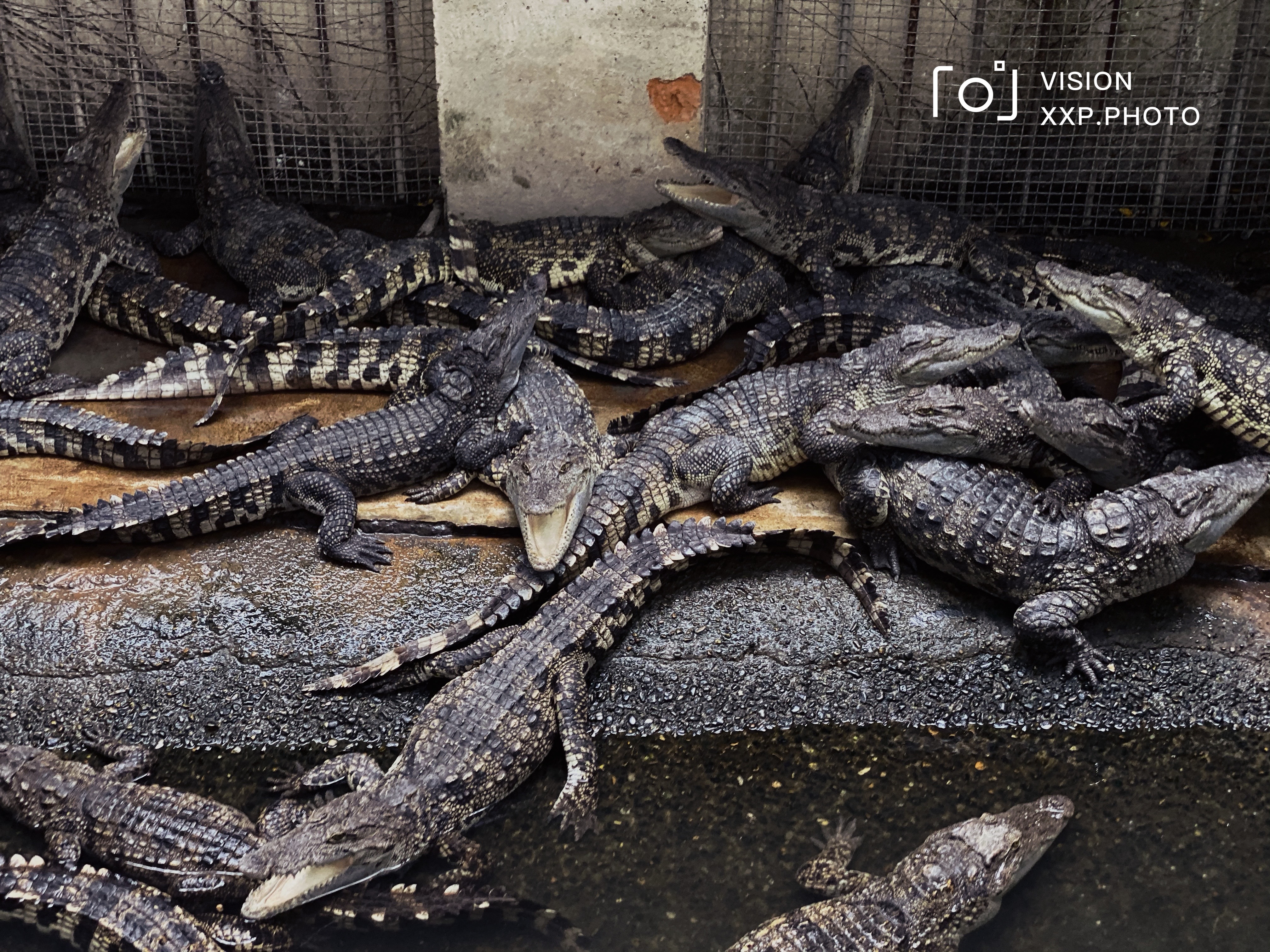 办公打印机哪款最好最实用,办公如何选购一台好的打印机