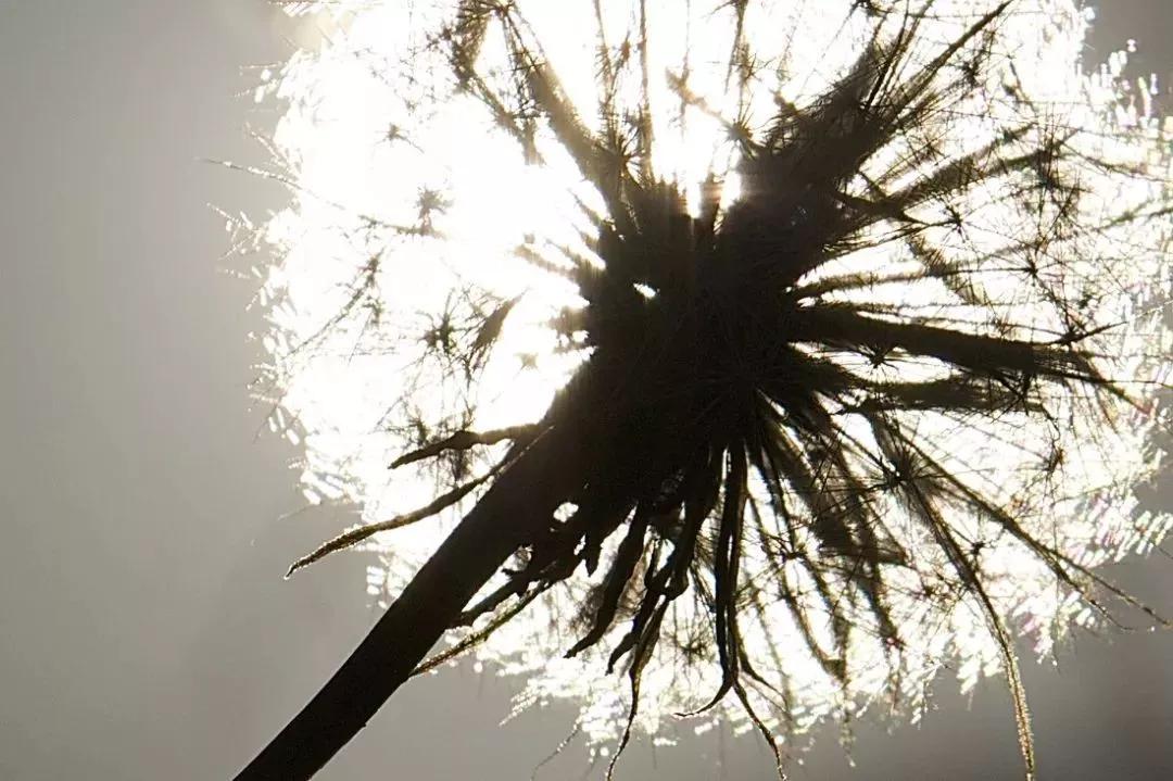 80后小时候的回忆绘画,童年男神绘画