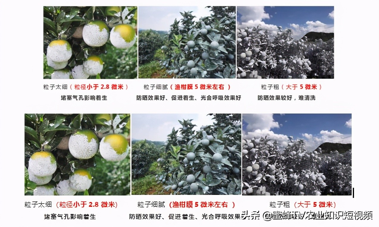 柑橘无色防晒剂的配制方法,柑橘防晒剂配方