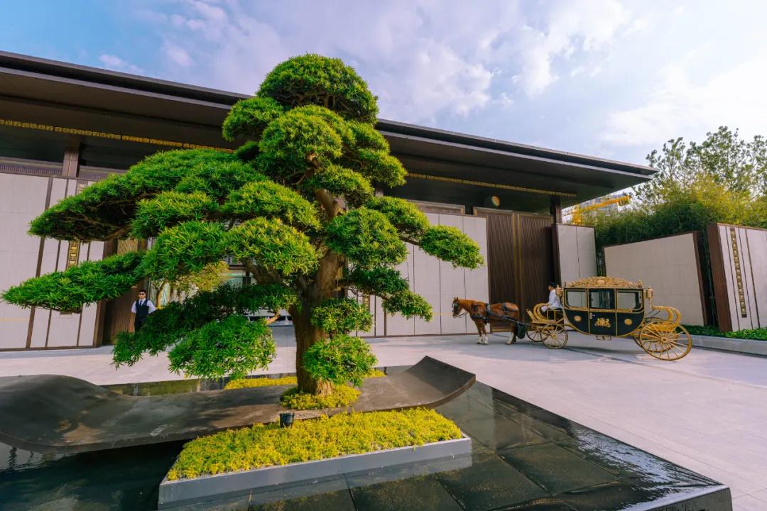 星辰大海奔赴而来卡点,星辰大海奔赴而来原文