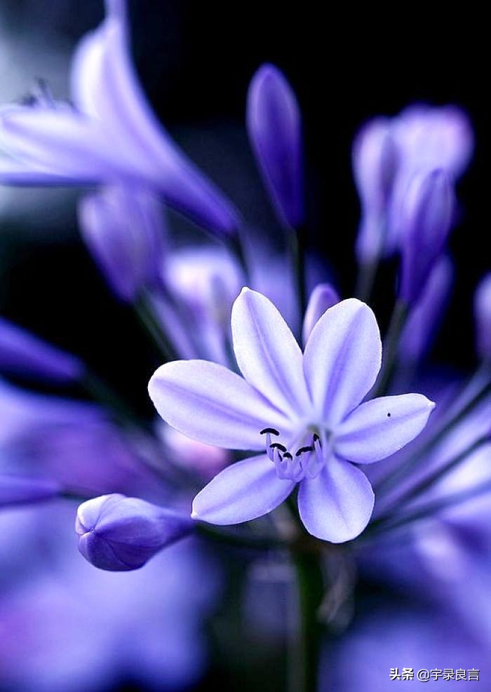 阳光正能量的说说句句温暖自己,积极美好的句子说说