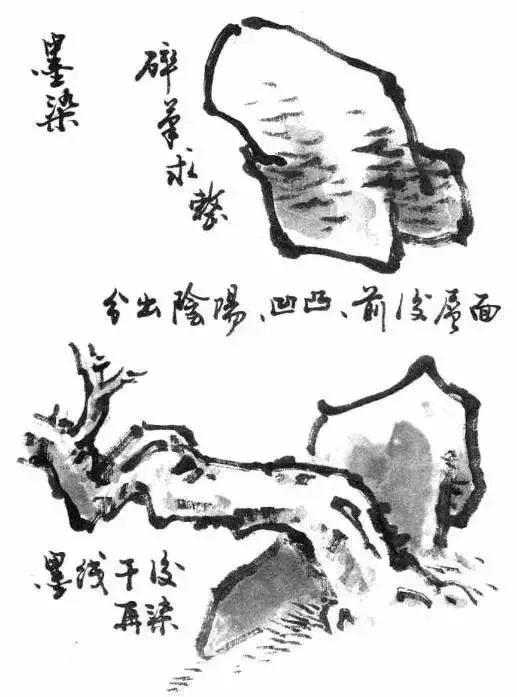 写意花鸟配景石的画法,干货写意花鸟类的画法