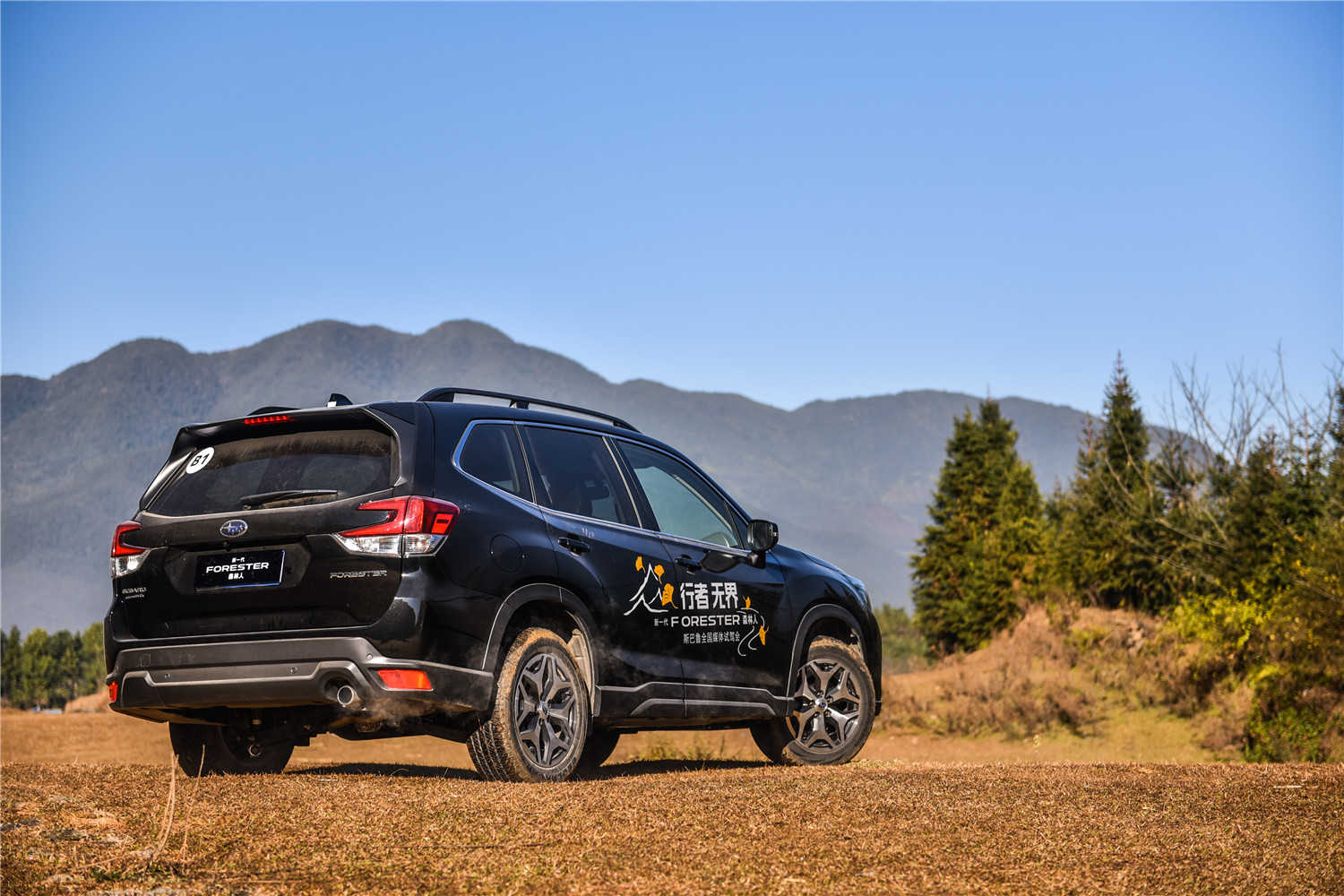 2.0自吸cvt的车能买吗,2.0cvt森林人