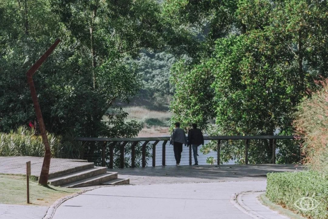 深圳周末浪漫好去处,深圳浪漫约会地点十个景点