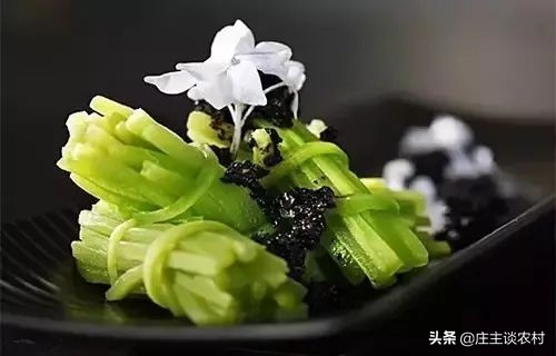 冷菜高档创意菜及做法,大师新菜7款最新创意冷菜做法