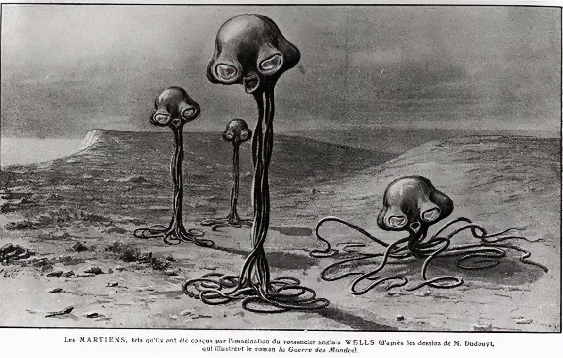 科学家在深海中发现未知的章鱼,木卫二存在巨型章鱼吗