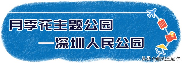 深圳八大主题公园免费开放,深圳遛娃50个必去的主题公园