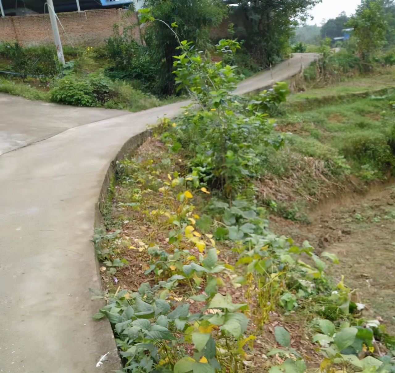 工程资料员必须应会的知识,工程资料员新手需要了解什么