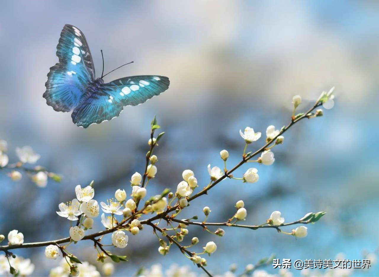 白居易的古诗你都背过吗,白居易的诗相当经典