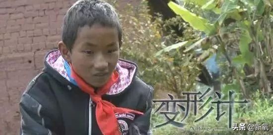 猛喝BB霜、整形数十次、曾爆火的养成系明星，再出现诈骗被抓？