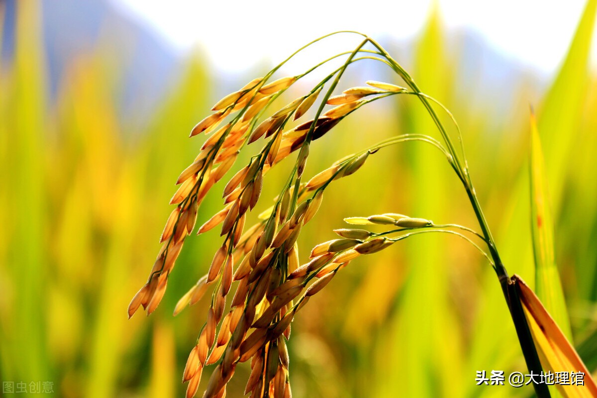 浙江永康是个什么样的城市,浙江永康为什么有那么多山