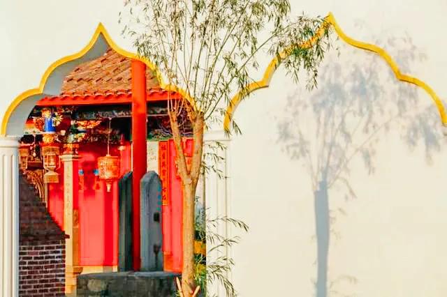 荔城无处不荔枝翻译,荔城无处无荔枝