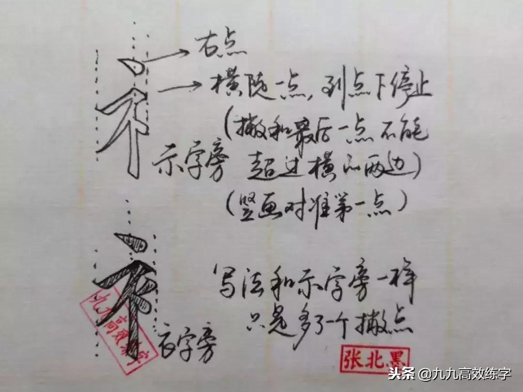 字的偏旁部首有什么规律,常用偏旁部首技巧及结构规律