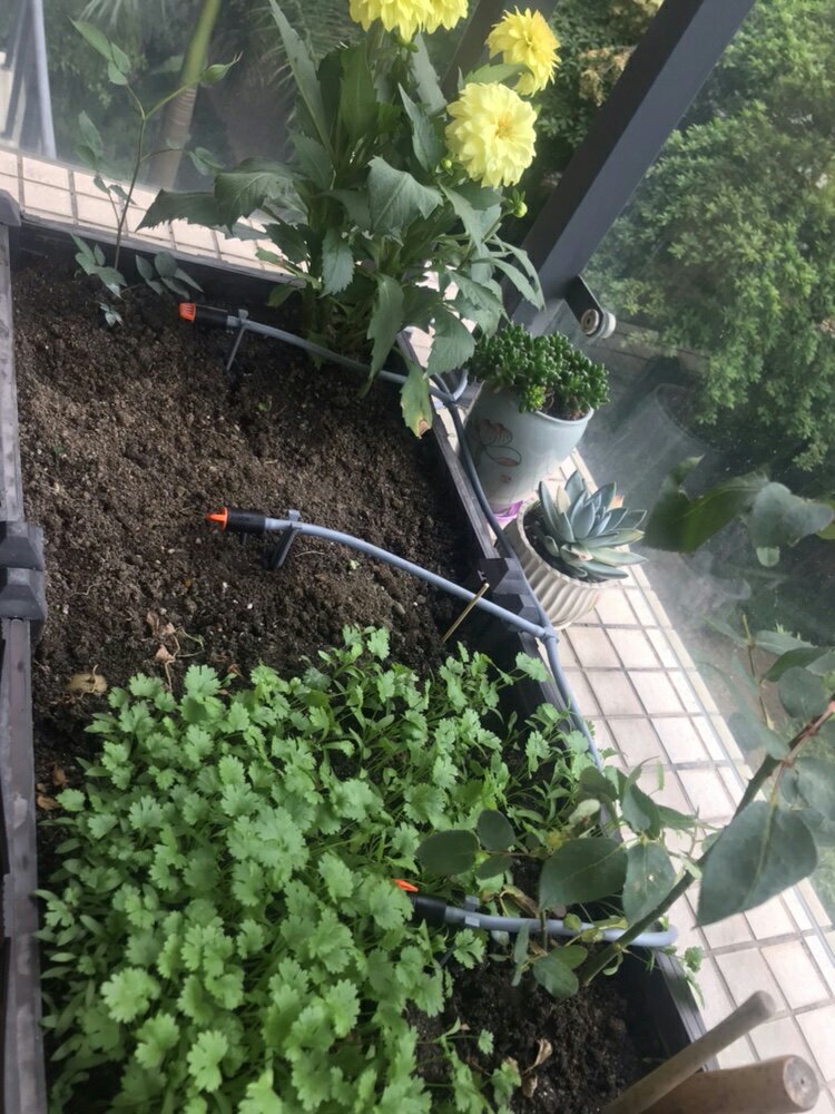 自动浇花器家用园艺智能定时控制,自动浇花器功能介绍