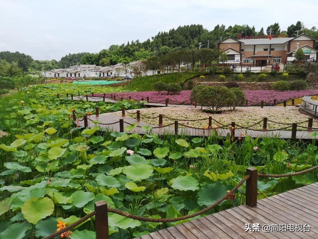 简阳旅游攻略一日游价格,简阳旅游攻略