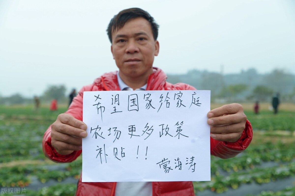 土地流转三大猫腻,土地流转是什么猫腻