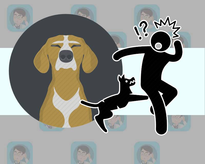 人得了狂犬病的早期症状多久出现,狂犬病在早期的10个征兆可以救吗