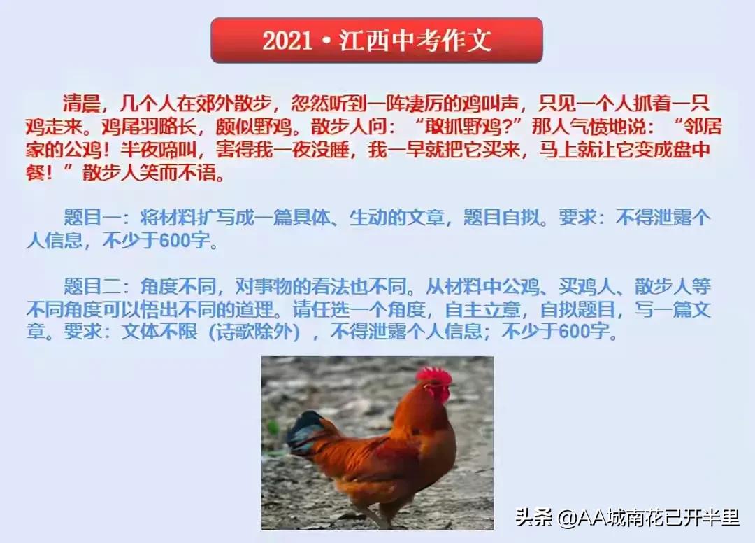 江西中考作文没写鸡怎么办,江西中考语文作文题一只鸡