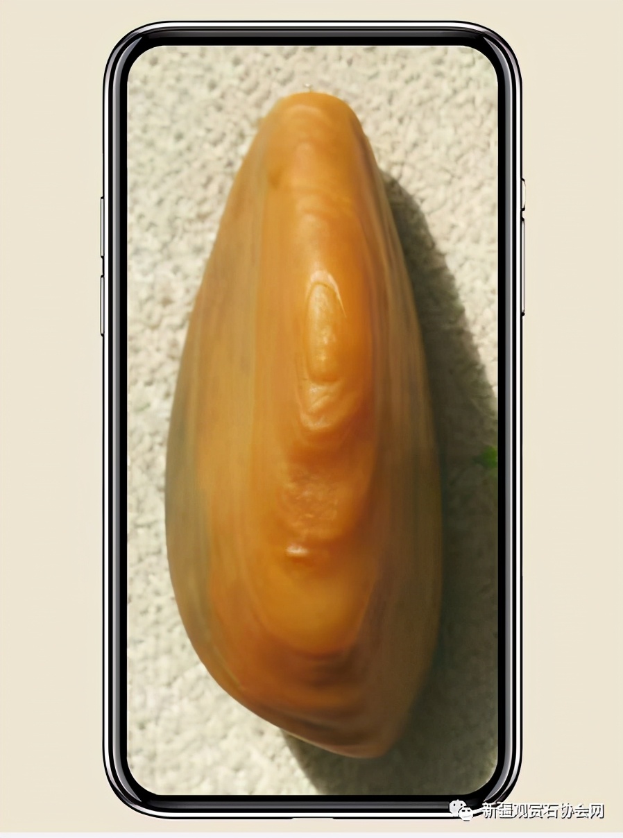 大漠奇石馆里面的沙漠漆,大漠沙漠漆的价格