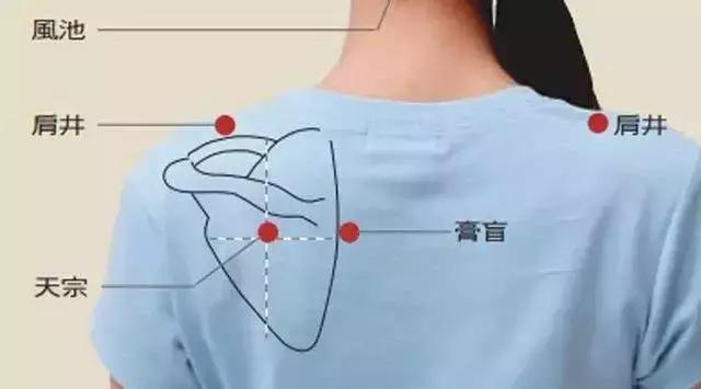 颈肩病最好的食疗方法,颈肩病调理