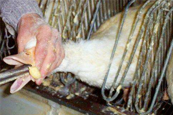 郭沫若写的大文豪,郭沫若和苏轼谁的文学成就大