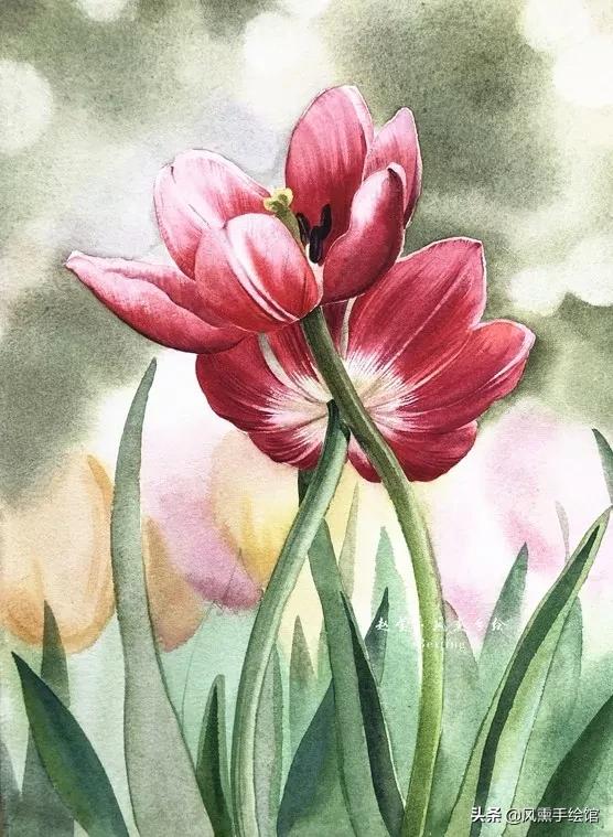 怎么用水彩笔画郁金香教程,粉色水彩郁金香怎么画图片