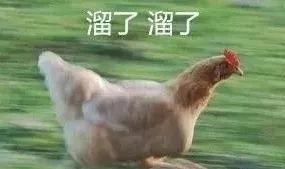 贵阳辣子鸡多锅煮的网红店,贵州贵阳最火爆辣子鸡店铺