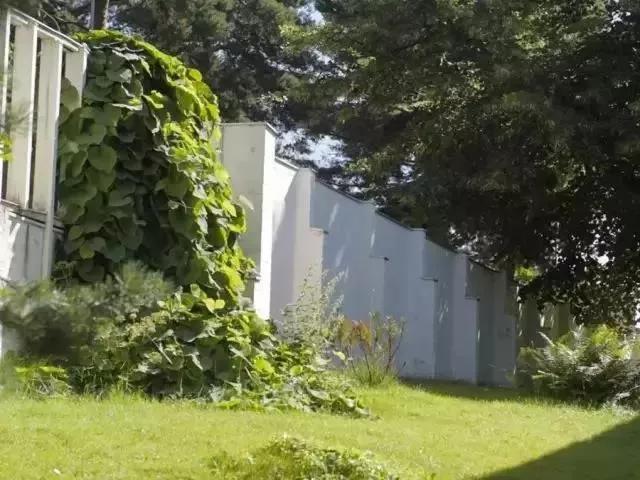 日本设计大师安藤忠雄,安藤忠雄创意设计